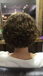 全头烫-星野形象