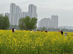 -汉江湾体育公园