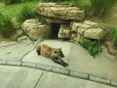 -北京野生动物园