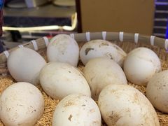 -徐家屯铁锅炖(宋家庄店)