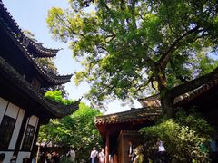 -天一阁博物院
