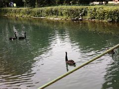 -长白岛森林公园