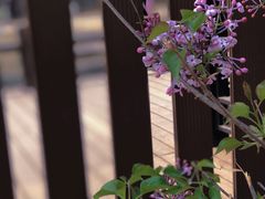 -三里河公园