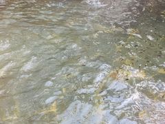 -龙达温泉生态城