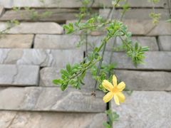 -陕西省西安植物园