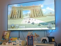 -浣熊部落ps4 ps5 switch 电玩(茶店子店)
