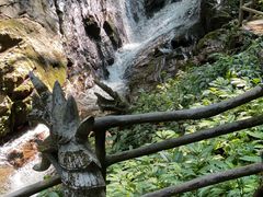 -莫里热带雨林景区