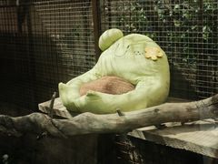 -青藏高原野生动物园
