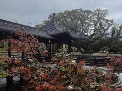 -江心屿景区