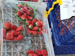 -东方鼎信农副产品交易中心