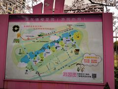 -高东镇樱花园