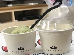 -BLACKSWAN黑天鹅(环球店)