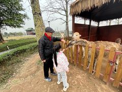 -王借岗森林公园