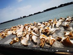 -南沙十九涌渔人码头-南门