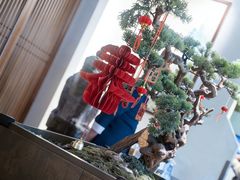 -苏帮袁Sue Cuisine(南开大悦城店)