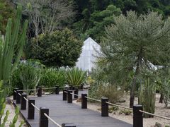 -深圳仙湖植物园
