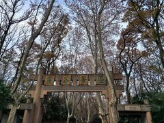 -灵谷景区