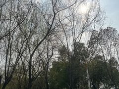 -汉江湾体育公园
