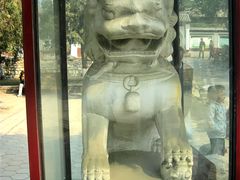 -保定市动物园