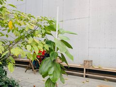 -VOYAGE COFFEE 咖啡烘焙工坊店(798艺术区店)