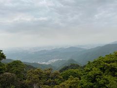 -梧桐山风景名胜区