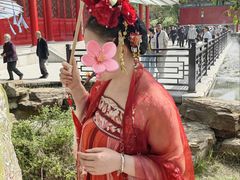 -曹州牡丹园