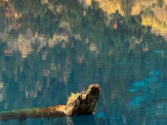 -德大西餐社(云南南路店)