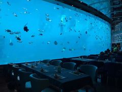 -瑞德姆美人鱼海底演艺主题餐厅(亚龙湾店)