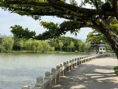 -江心屿景区