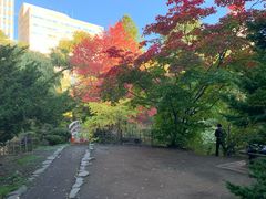 -北海道厅旧本厅舍(旧本庁舎)