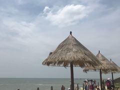 -北海金海湾红树林生态旅游区