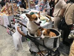 -香港会议展览中心演讲厅