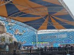 -华夏文旅海洋公园