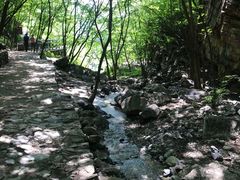 -十渡东湖港风景区