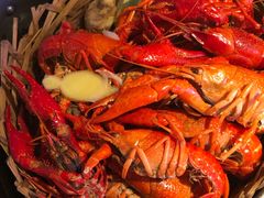 -蚝翅·海鲜粥·烧烤·宁夏滩羊季(玉米楼店)