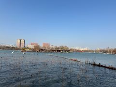 -济南大明湖景区