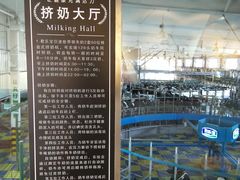 -君乐宝优致牧场