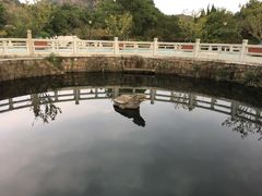 -白马涧龙池景区