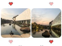 -罗红摄影艺术馆