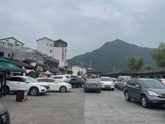 -后柳水乡