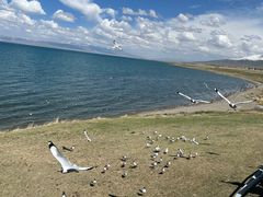 -青海湖国家重点风景名胜区