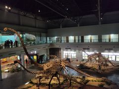 -自贡恐龙博物馆