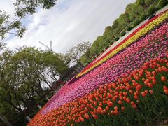 -上海鲜花港