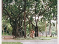 -广州雕塑公园