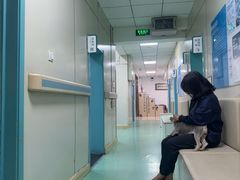 -北京观赏动物医院·24小时大型综合·猫专科·异宠专科