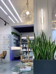 -FUTURE HN男士发型风格设计