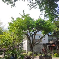 -莲生母婴月子中心(清水河公园店)