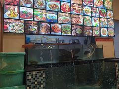 -小团圆灶台鱼·百城头牌菜(千岛湖店)