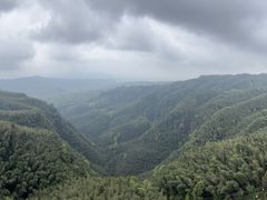 -蜀南竹海景区