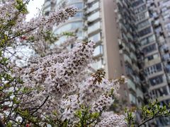 -红星桥(地铁站)